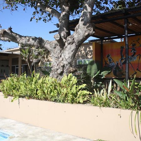 Planet Scuba Bed And Breakfast Ponta do Ouro Ngoại thất bức ảnh