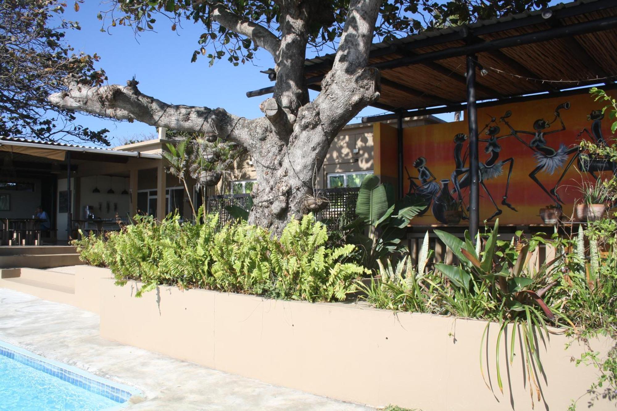 Planet Scuba Bed And Breakfast Ponta do Ouro Ngoại thất bức ảnh